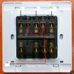 接线女孩 第三季,情感漩涡中的成长与救赎