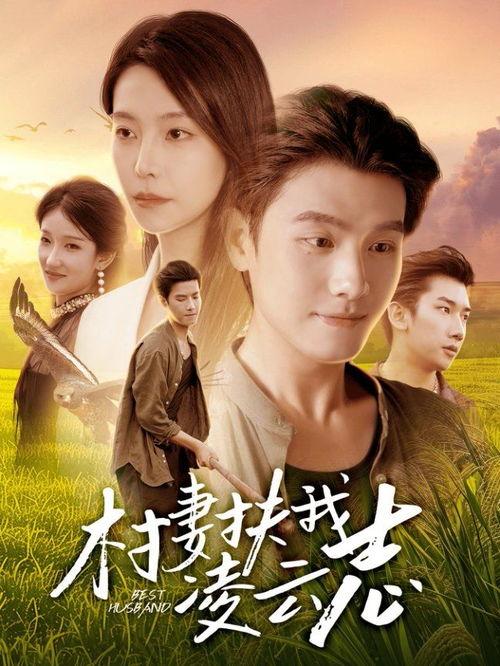 村妻扶我凌云志,一段感人至深的励志传奇