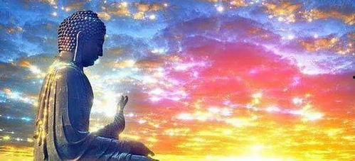 新爱就在眼前,探寻爱情新篇章