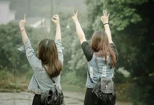 朋友和陌生人,朋友与陌生人之间的奇妙旅程