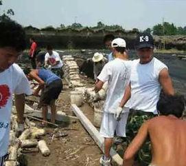 认亲后我的马甲藏不住了,认亲后的身份揭秘之旅