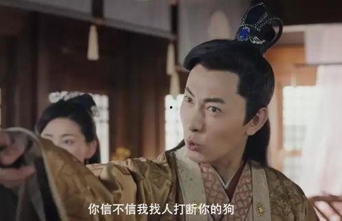 赘婿的反击,反击之路，谱写传奇