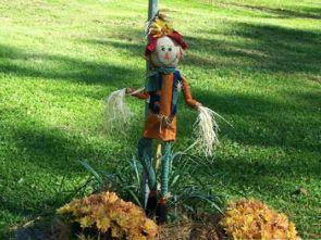 稻草人,探寻生命之轻与重