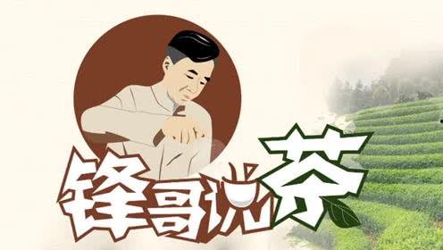 茶系郎中养成记,从茶道到医术的跨界修炼之旅