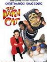 酷猫妙探,揭秘神秘案件，智慧与勇气并存的侦探冒险之旅