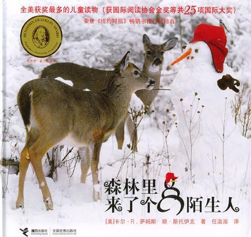 树林里的陌生人,揭秘树林里的神秘陌生人